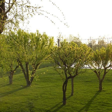 Agriturismo Feliciana Pozzolengo Luaran gambar