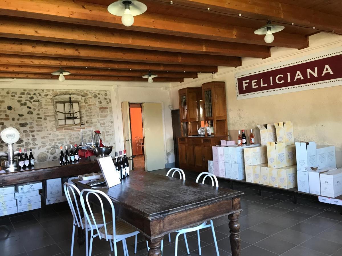 Agriturismo Feliciana Pozzolengo Luaran gambar