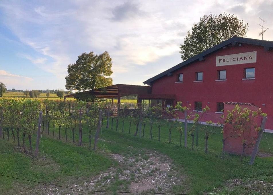 Agriturismo Feliciana Pozzolengo Luaran gambar