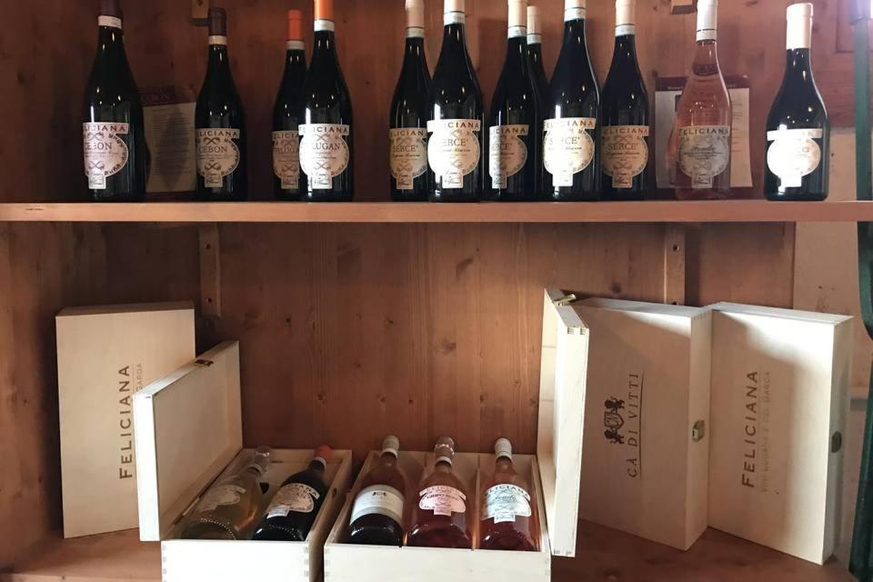 Agriturismo Feliciana Pozzolengo Luaran gambar