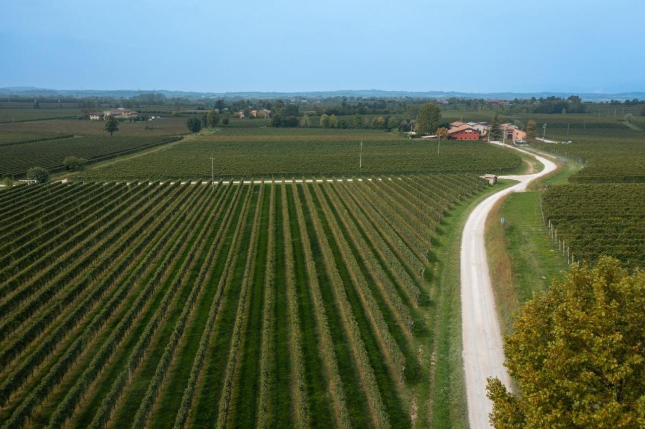 Agriturismo Feliciana Pozzolengo Luaran gambar