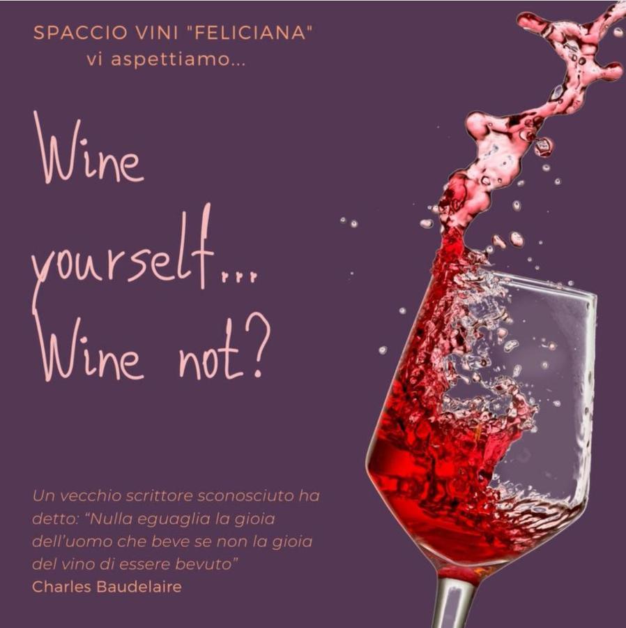 Agriturismo Feliciana Pozzolengo Luaran gambar