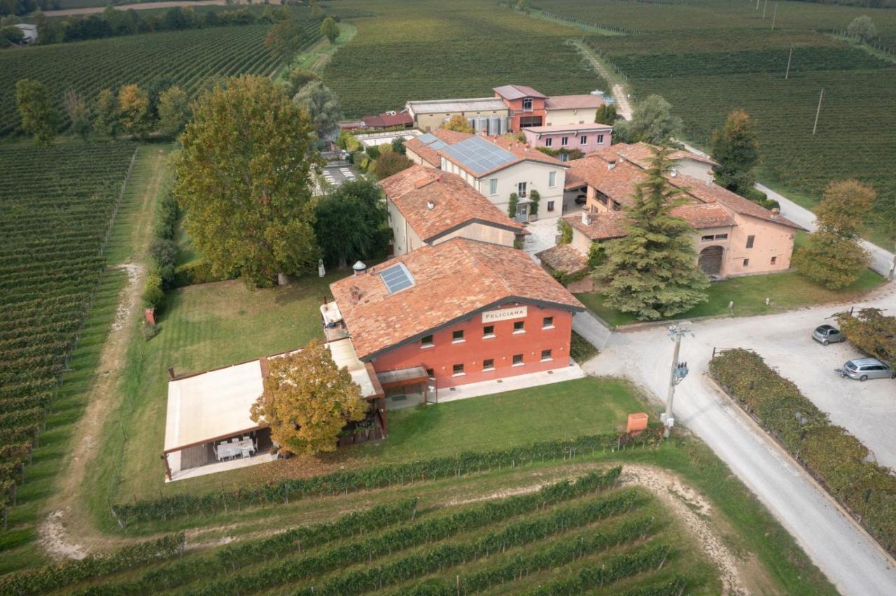 Agriturismo Feliciana Pozzolengo Luaran gambar