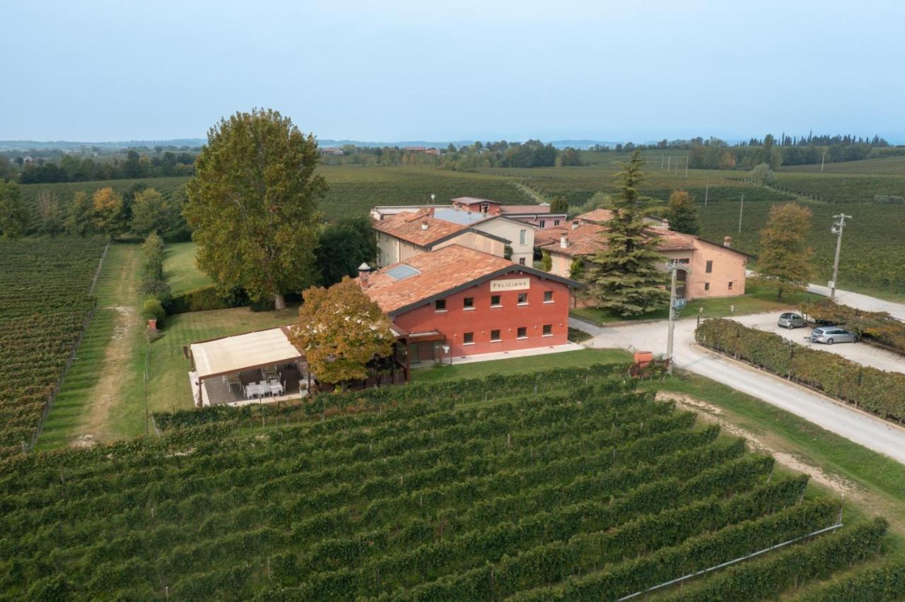 Agriturismo Feliciana Pozzolengo Luaran gambar