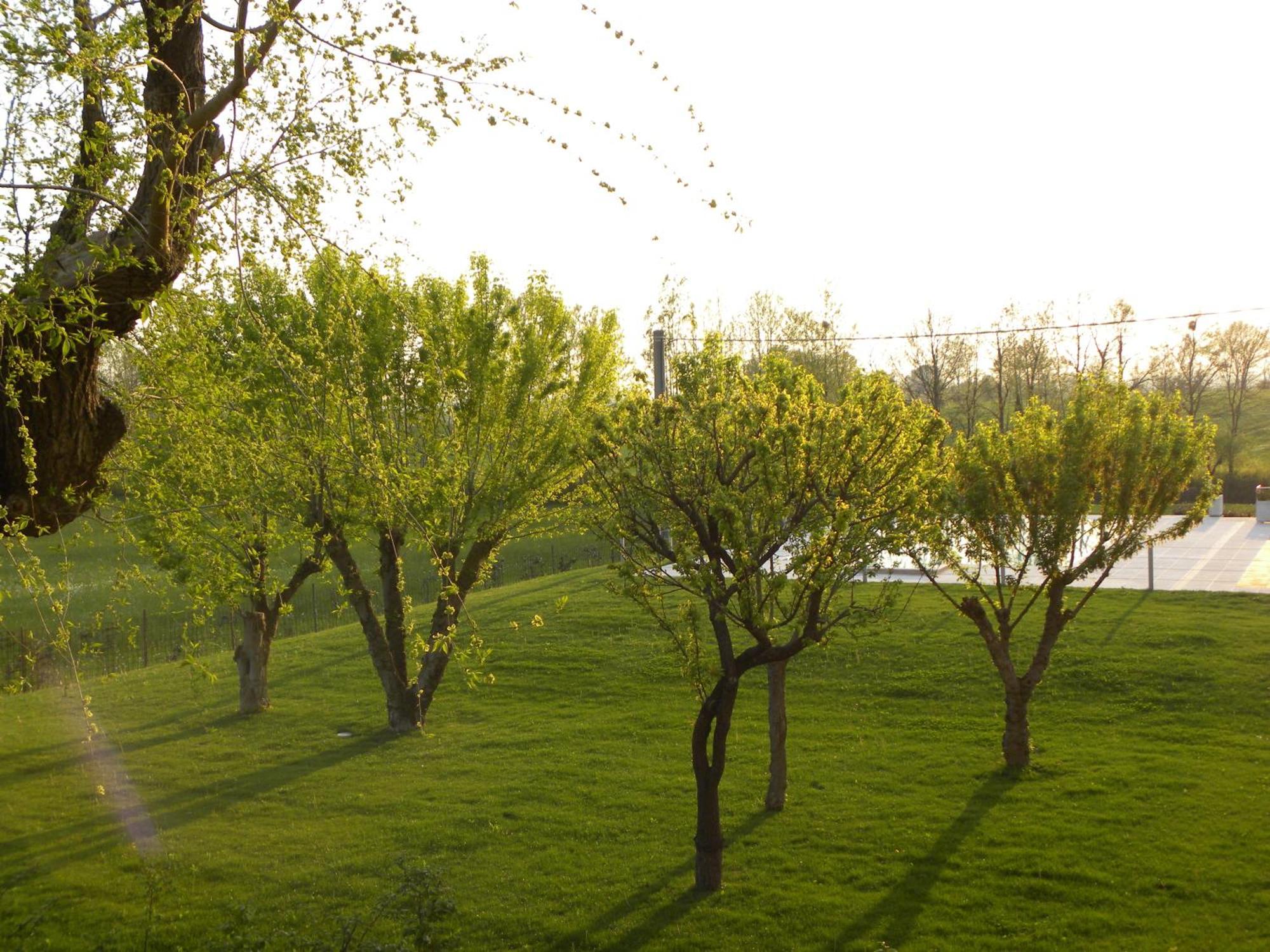 Agriturismo Feliciana Pozzolengo Luaran gambar